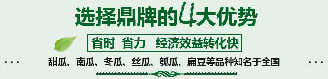 購買(mǎi)蔬菜種子，選擇鼎牌的四大優(yōu)勢